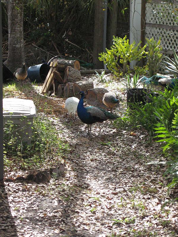 Picture 032